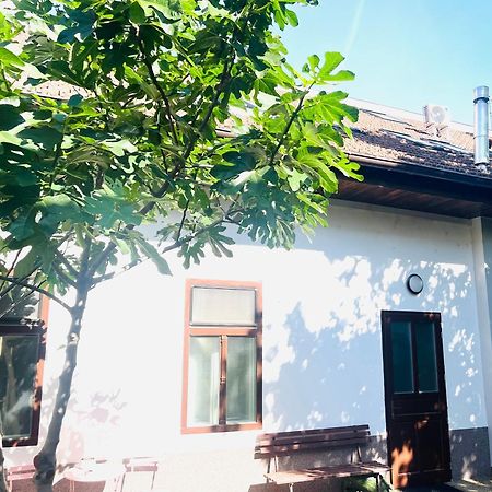 Jokai Apartman Komárno Exterior photo